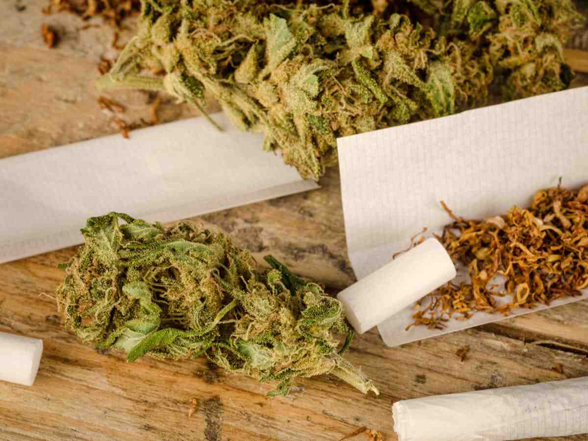 Can we roll and smoke cbd like tobacco?